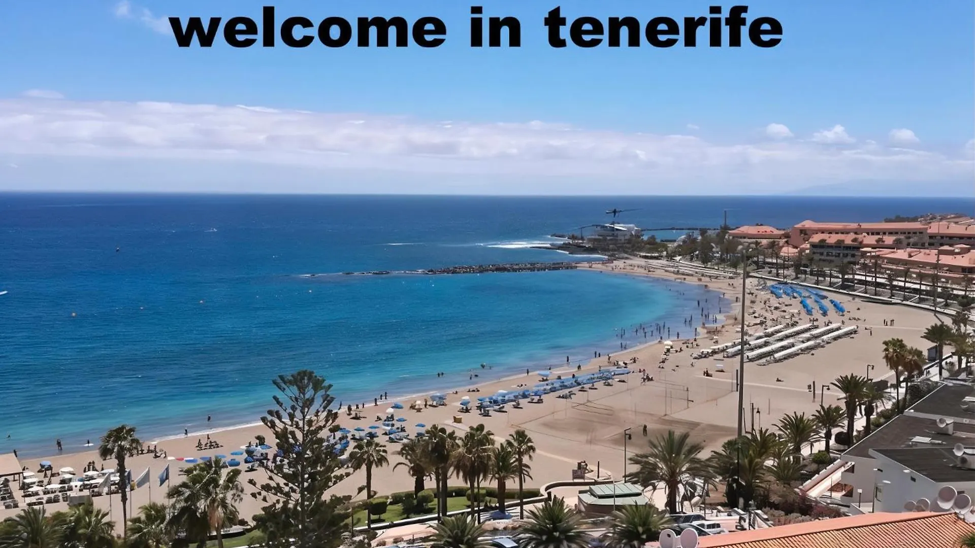 Los Cristianos Port Royale 138 contacts